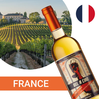 French Wine - A selection of classic French wines, highlighting the best of France's wine regions - banner