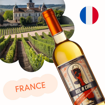 French Wine - A selection of classic French wines, highlighting the best of France's wine regions - banner