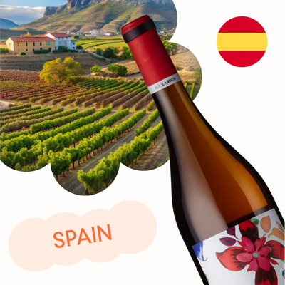 Spanish Wine - A curated collection of Spain's finest wines, representing various regions and styles - logo