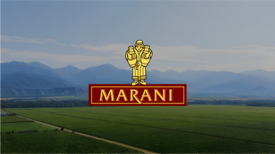 Marani Winery - Georgian winery specializing in traditional and modern winemaking techniques - logo