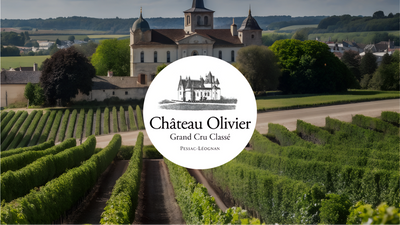 Olivier Cazenave et Château Vineyards- Fine wine producer from Bordeaux, known for exceptional quality and craftsmanship