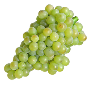 Catarratto Grapes - Sicilian White Grape Variety Known for High-Acidity Wines png