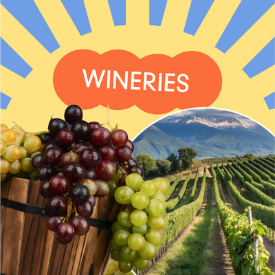 Banner Vineyards and Grapes Illustration - Collection of All Wineries Featured in the Online Wine Store