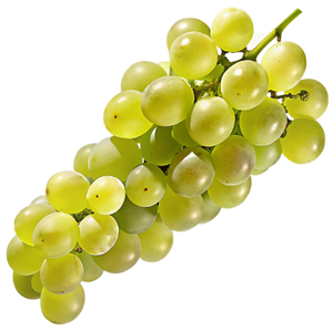 Feteasca Alba Grapes - Romanian White Grape Variety Known for Floral and Fruity Wines png