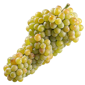 Garnacha Blanca Grapes - Spanish White Grape Variety Known for Rich, Full-Bodied Wines png