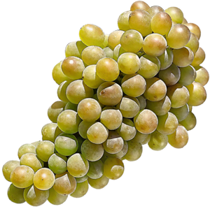 Grüner Veltliner Grapes - Austrian White Grape Variety Known for Crisp and Peppery Wines png