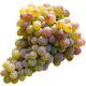 Krahuna Grapes - Georgian White Grape Variety Used in Rich and Complex Wines png