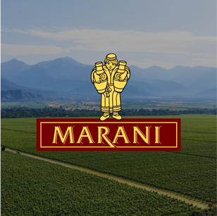 Marani Logo - Leading Georgian Winery Specializing in Qvevri and Traditional Wines