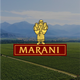 Marani Logo - Leading Georgian Winery Specializing in Qvevri and Traditional Wines