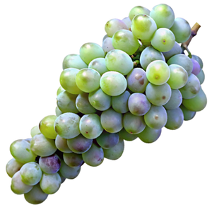 Mtsvane Grapes - Ancient Georgian White Grape Variety Known for Fresh and Fruity Wines png