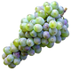 Mtsvane Grapes - Ancient Georgian White Grape Variety Known for Fresh and Fruity Wines png