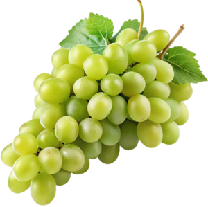 Muscat Grapes - Aromatic Grape Variety Used in Sweet and Dry Wines Worldwide png