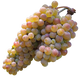 Rkatsiteli Grapes - Traditional Georgian White Grape Variety Known for High Acidity Wines png