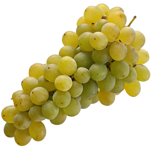 Sauvignon Blanc Grapes - Popular White Grape Variety Known for Crisp and Aromatic Wines png