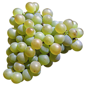 Semillon Grapes - Versatile White Grape Variety Used in Both Dry and Sweet Wines png