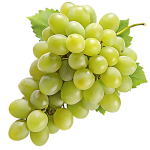 Tamioasa-Romaneasca Grapes - Aromatic White Grape Variety Indigenous to Romania - grape png