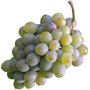 Tsolikauri Grapes - Indigenous Georgian White Grape Variety Used in Dry and Semi-Sweet Wines png